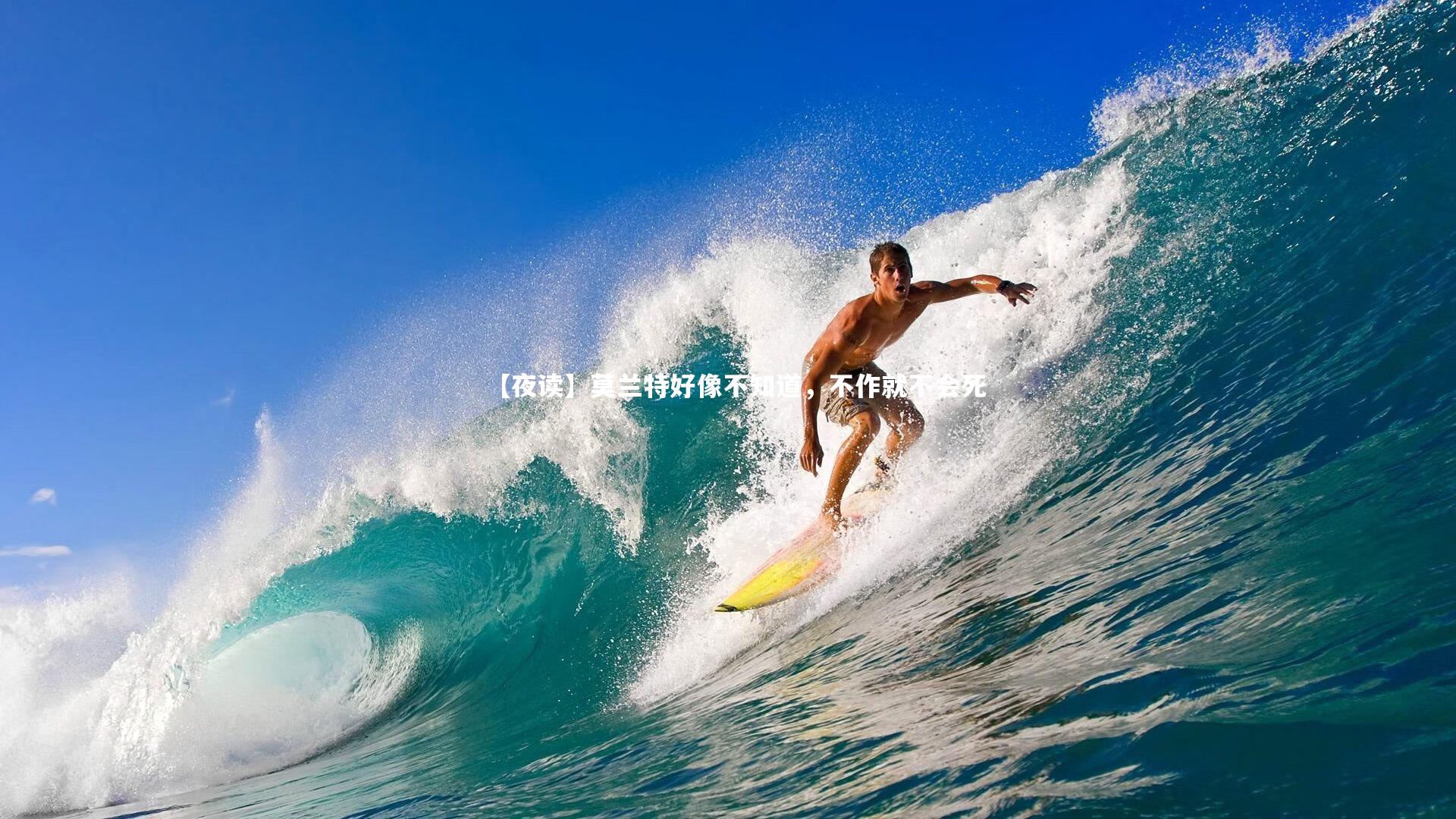 球王会体育官方网站-【夜读】莫兰特好像不知道，不作就不会死